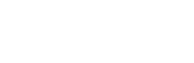 Outline of a lion with the text "LYON FINANCIAL" incorporated into the lion's body; logo appears in white on a light background.