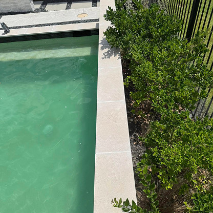 A close-up view of a swimming pool with light-colored tile edging, next to a row of green bushes and a black metal fence.